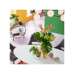KARE Design Assiettes Creuses Organic Noires 20cm Set De 4 ^ Vaisselle