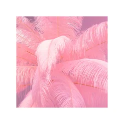KARE Design Lampadaire Plumes 165cm Rose ^ Lampadaire