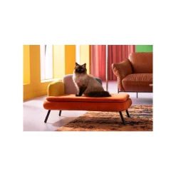 KARE Design Lit Pour Animaux Diva Orange ^ Lit