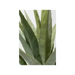 KARE Design Plante Décorative Agave 85cm ^ Plante Décorative