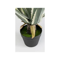 KARE Design Plante Décorative Agave 50cm ^ Plante Décorative