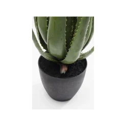 KARE Design Plante Décorative Aloe ^ Plante Décorative