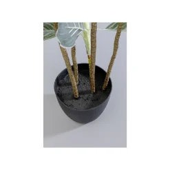 KARE Design Plante Décorative Calathea 140cm ^ Plante Décorative