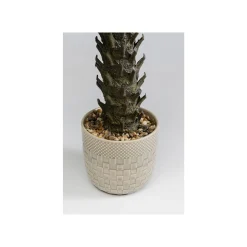 KARE Design Plante Décorative Cycas 70cm ^ Plante Décorative
