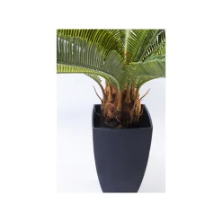 KARE Design Plante Décorative Cycas 78cm ^ Plante Décorative