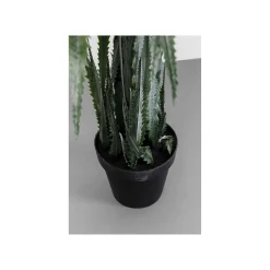 KARE Design Plante Décorative Dracaena 155cm ^ Plante Décorative