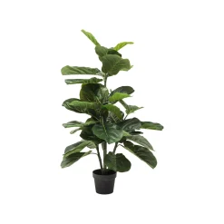 KARE Design Plante Décorative Figuier Lyre 120cm ^ Plante Décorative