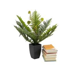 KARE Design Plante Décorative Fougère 55cm ^ Plante Décorative