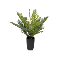 KARE Design Plante Décorative Fougère 55cm ^ Plante Décorative