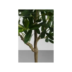 KARE Design Plante Décorative Olivier 150cm ^ Plante Décorative