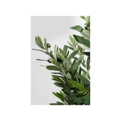 KARE Design Plante Décorative Olivier 150cm ^ Plante Décorative