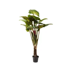 KARE Design Plante Décorative Rainbow Tree 160cm ^ Plante Décorative