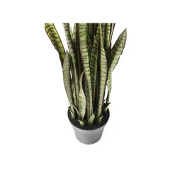 KARE Design Plante Décorative Sansevieria 155cm ^ Plante Décorative