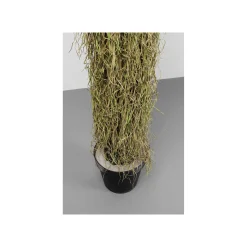 KARE Design Plante Décorative Yucca 180cm ^ Plante Décorative
