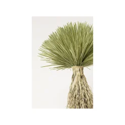 KARE Design Plante Décorative Yucca 240cm ^ Plante Décorative