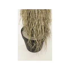 KARE Design Plante Décorative Yucca 240cm ^ Plante Décorative