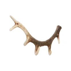 KARE Design Portemanteau Mural Bois De Cerf Marron ^ Portemanteau
