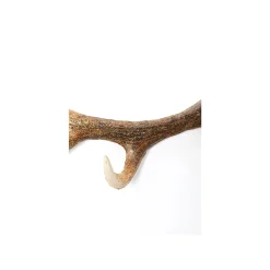 KARE Design Portemanteau Mural Bois De Cerf Marron ^ Portemanteau