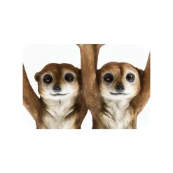 KARE Design Table D'appoint Animal Suricates ^ Table D'Appoint & De Chevet