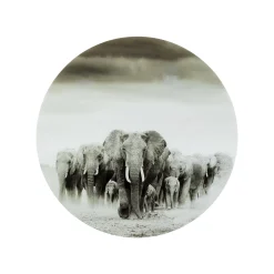 KARE Design Tableau En Verre Marche Des éléphants 120cm ^ Tableau