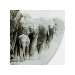 KARE Design Tableau En Verre Marche Des éléphants 120cm ^ Tableau