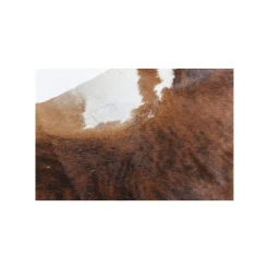 KARE Design Tapis Hide Marron ^ Tapis