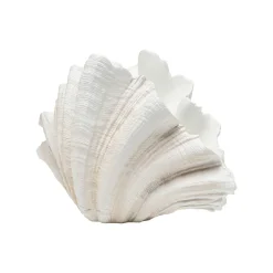 KARE Design Vase Concha 57cm ^ Vase